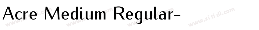 Acre Medium Regular字体转换